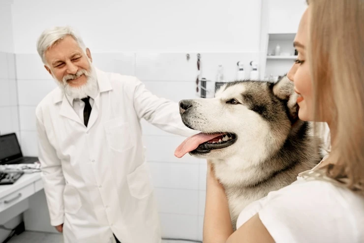 Cachorro com mau cheiro na boca