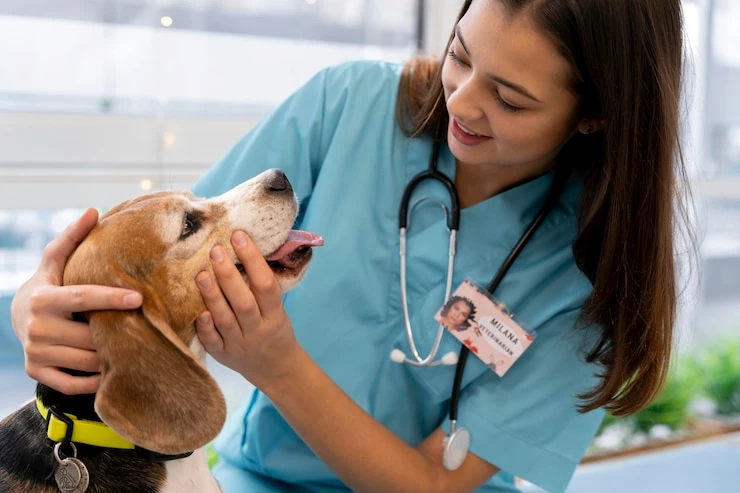 Especialista em canal dente de cachorro