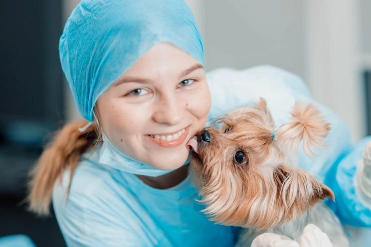 Especialista em canal dente de cachorro