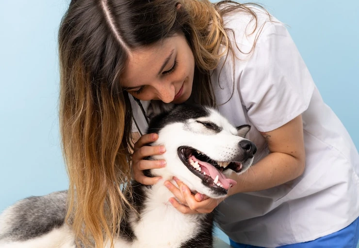 Mau hálito em cachorro